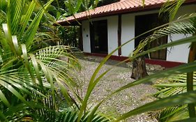 Villas Jungle 5