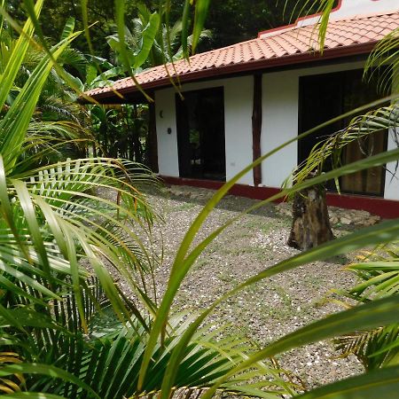 Villas Jungle 5 Sámara Extérieur photo