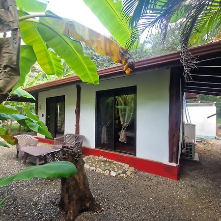 Villas Jungle 5 Sámara Extérieur photo
