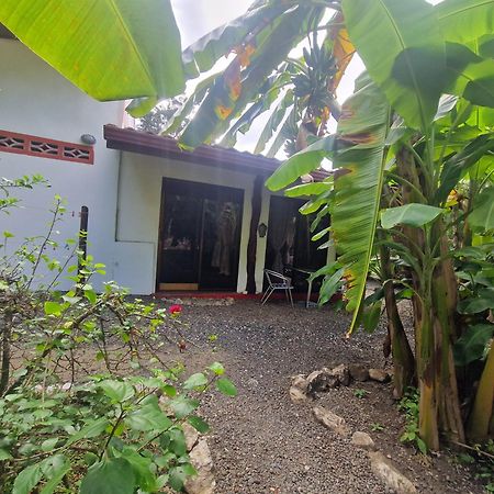 Villas Jungle 5 Sámara Extérieur photo