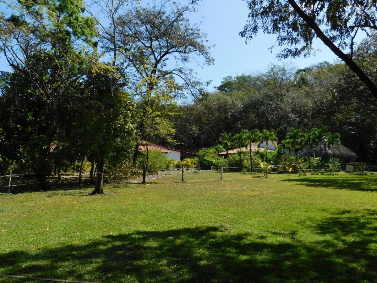 Villas Jungle 5 Sámara Extérieur photo