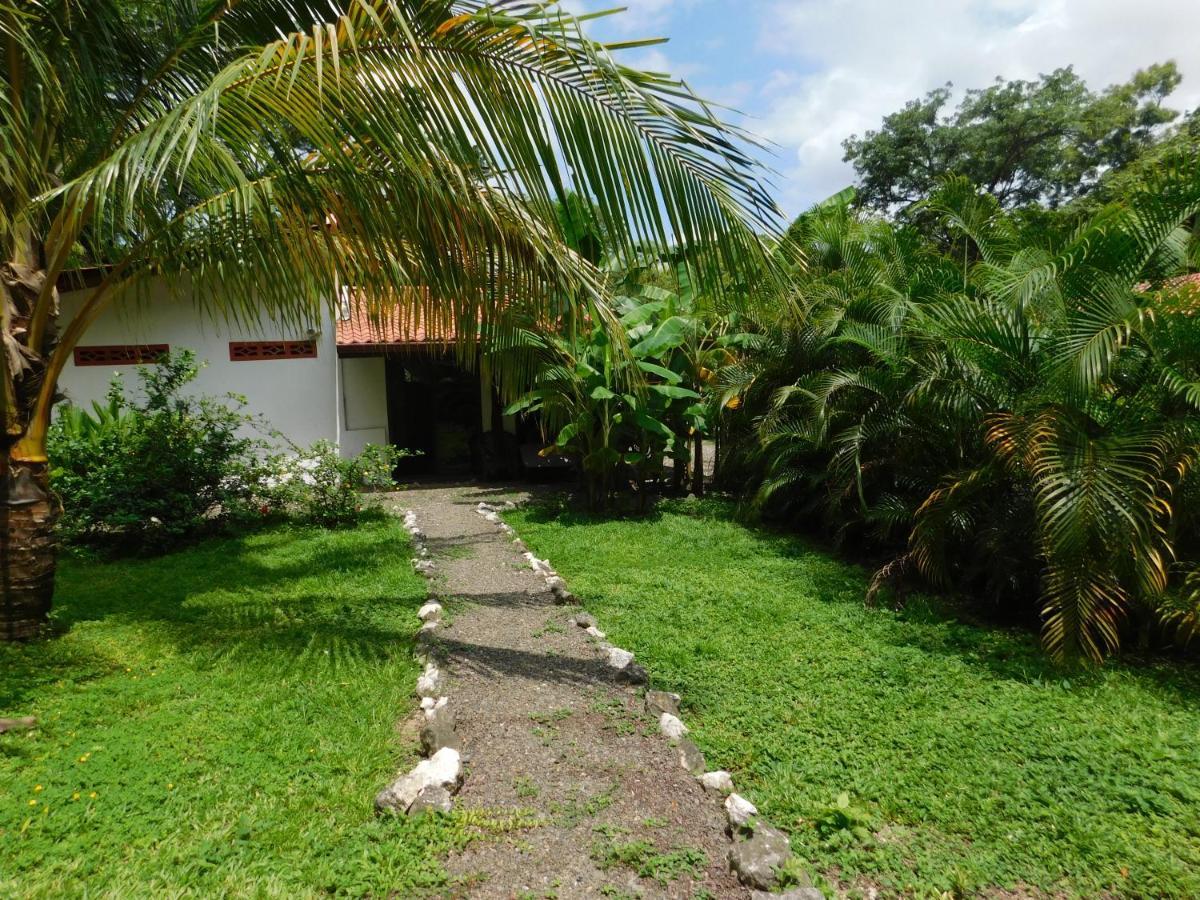 Villas Jungle 5 Sámara Extérieur photo