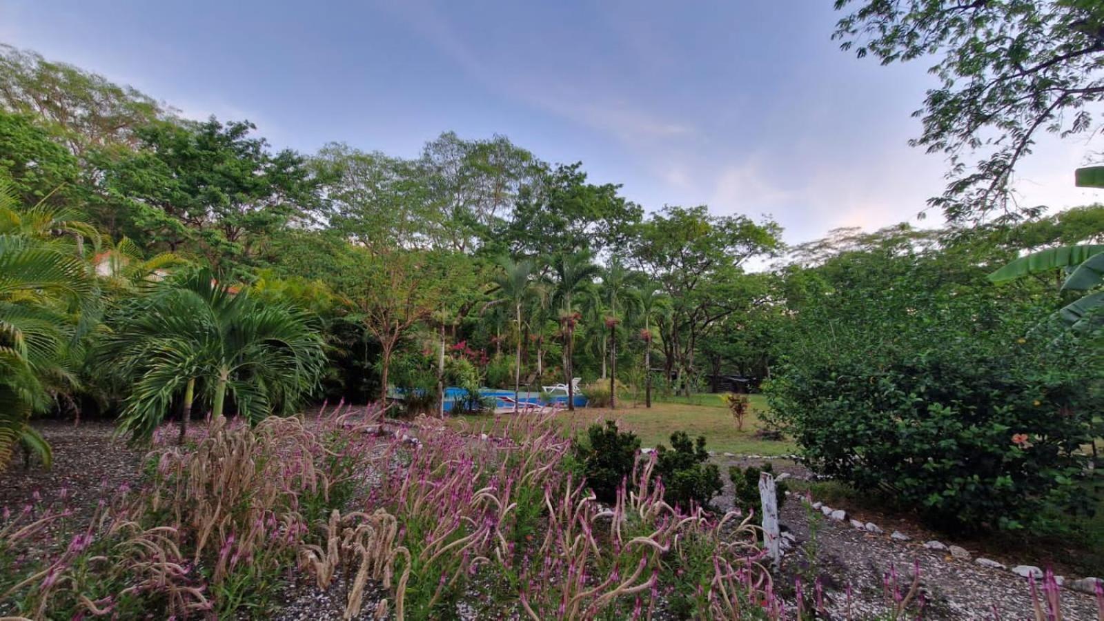 Villas Jungle 5 Sámara Extérieur photo