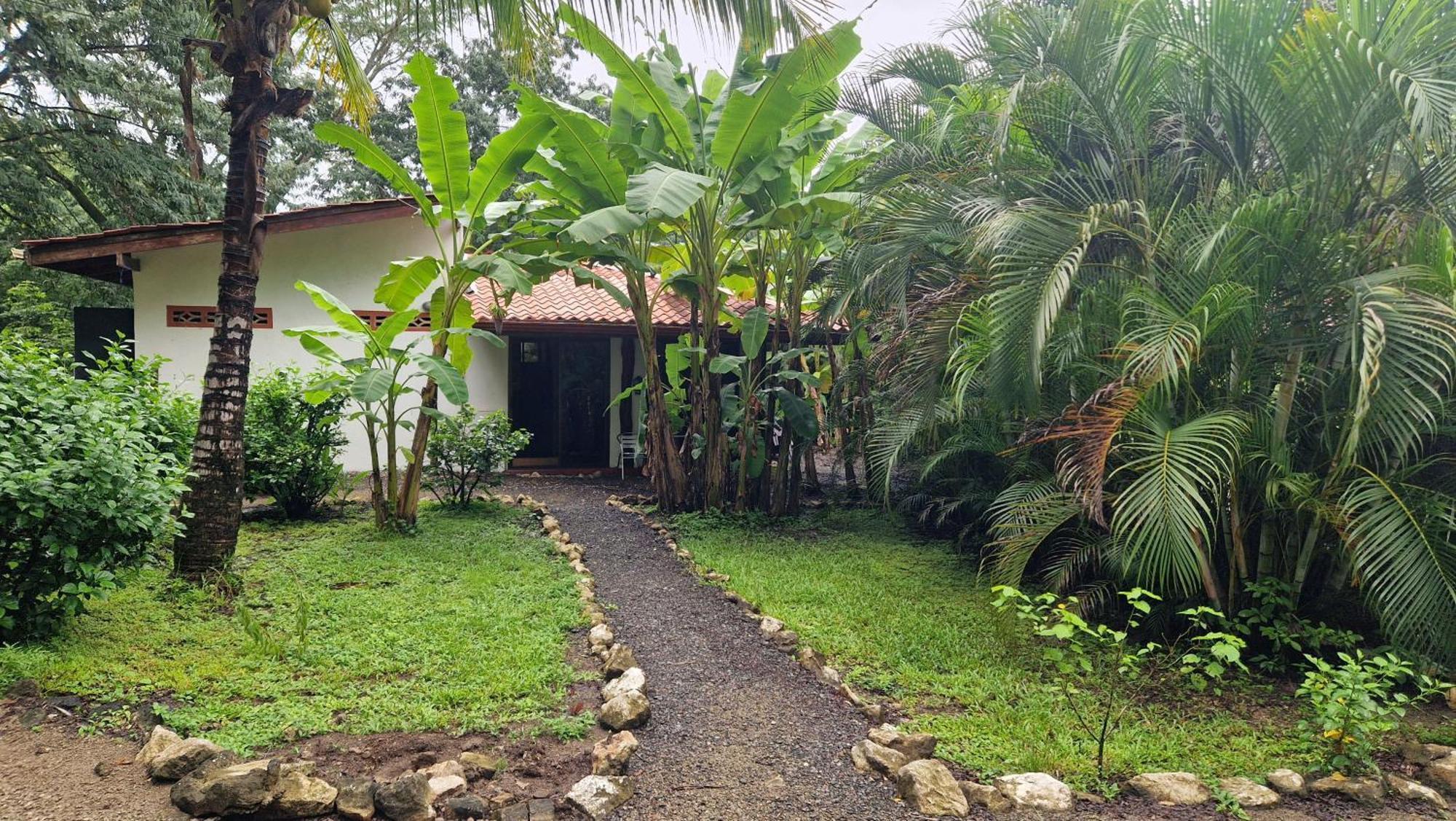 Villas Jungle 5 Sámara Extérieur photo