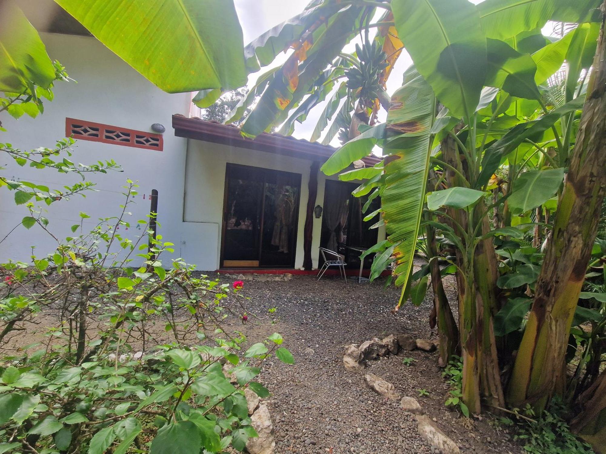 Villas Jungle 5 Sámara Extérieur photo