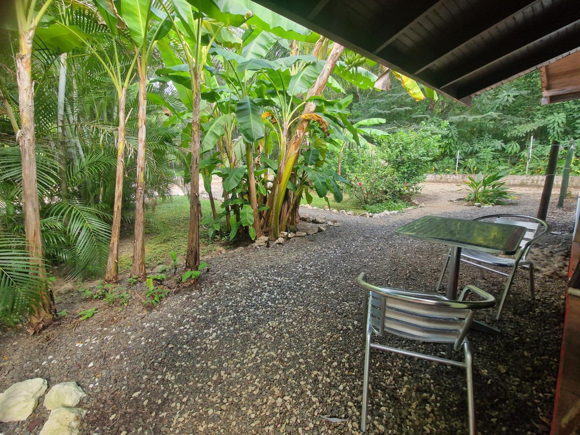 Villas Jungle 5 Sámara Extérieur photo